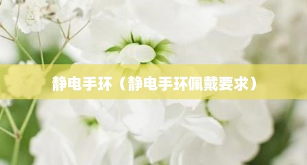 静电手环（静电手环佩戴要求）