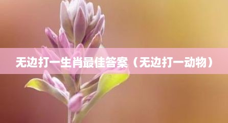 无边打一生肖最佳答案（无边打一动物）