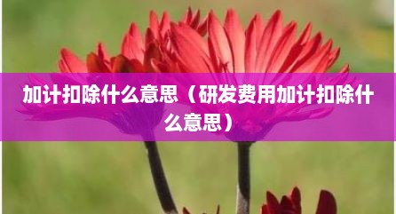 加计扣除什么意思（研发费用加计扣除什么意思）
