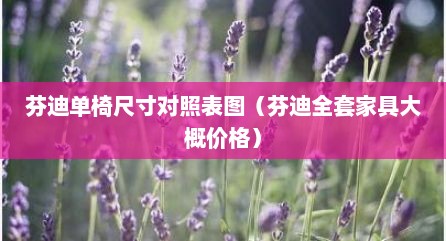 芬迪单椅尺寸对照表图（芬迪全套家具大概价格）