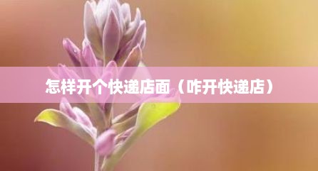 怎样开个快递店面（咋开快递店）