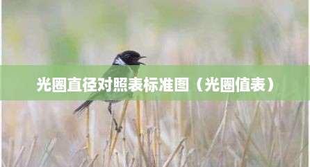光圈直径对照表标准图（光圈值表）