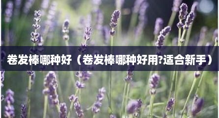 卷发棒哪种好（卷发棒哪种好用?适合新手）