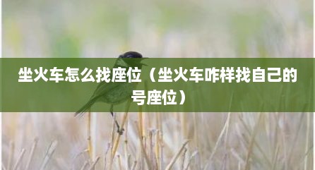 坐火车怎么找座位（坐火车咋样找自己的号座位）