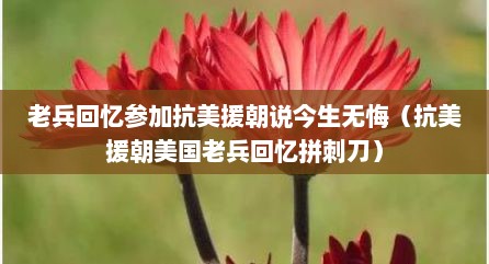 老兵回忆参加抗美援朝说今生无悔（抗美援朝美国老兵回忆拼刺刀）