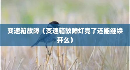 变速箱故障（变速箱故障灯亮了还能继续开么）