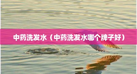 中药洗发水（中药洗发水哪个牌子好）
