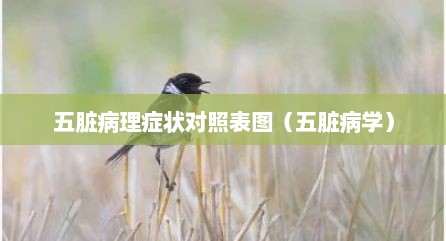 五脏病理症状对照表图（五脏病学）