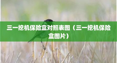 三一挖机保险盒对照表图（三一挖机保险盒图片）