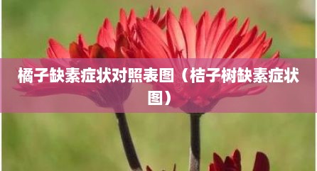 橘子缺素症状对照表图（桔子树缺素症状图）