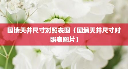 围墙天井尺寸对照表图（围墙天井尺寸对照表图片）