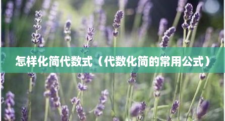 怎样化简代数式（代数化简的常用公式）