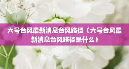 六号台风最新消息台风路径（六号台风最新消息台风路径是什么）