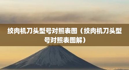 绞肉机刀头型号对照表图（绞肉机刀头型号对照表图解）
