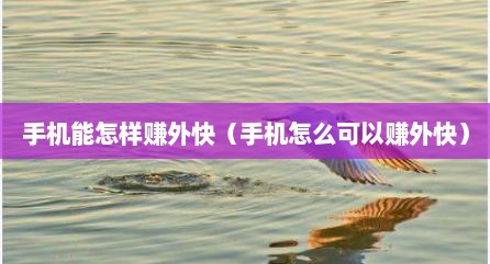 手机能怎样赚外快（手机怎么可以赚外快）