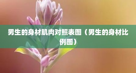 男生的身材肌肉对照表图（男生的身材比例图）