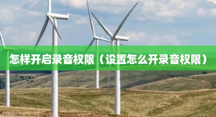 怎样开启录音权限（设置怎么开录音权限）