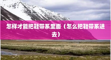 怎样才能把鞋带系里面（怎么把鞋带系进去）