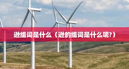 逊组词是什么（逊的组词是什么呢?）