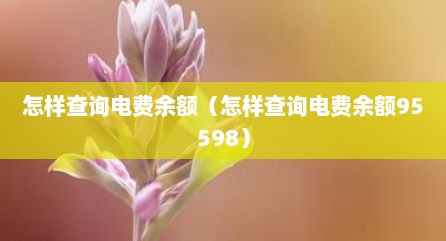 怎样查询电费余额（怎样查询电费余额95598）
