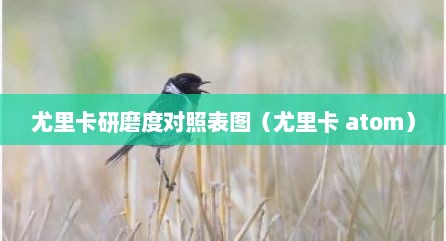 尤里卡研磨度对照表图（尤里卡 atom）