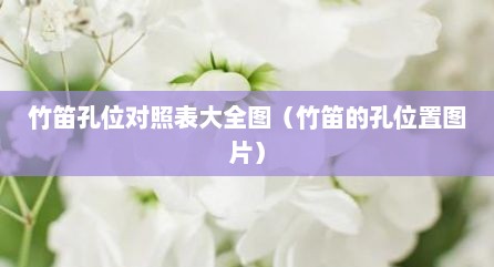 竹笛孔位对照表大全图（竹笛的孔位置图片）