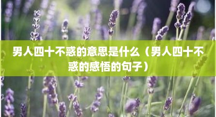 男人四十不惑的意思是什么（男人四十不惑的感悟的句子）