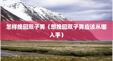怎样挽回双子男（想挽回双子男应该从哪入手）