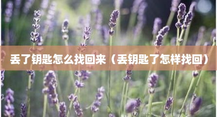 丢了钥匙怎么找回来（丢钥匙了怎样找回）