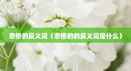 悲惨的反义词（悲惨的的反义词是什么）