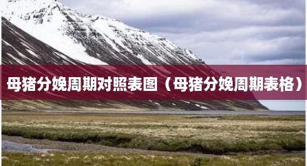 母猪分娩周期对照表图（母猪分娩周期表格）