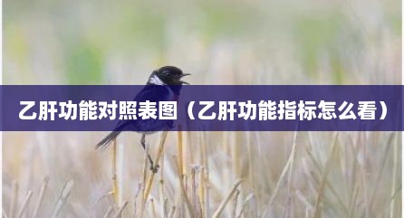 乙肝功能对照表图（乙肝功能指标怎么看）