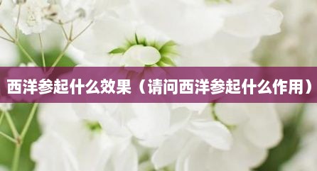 西洋参起什么效果（请问西洋参起什么作用）