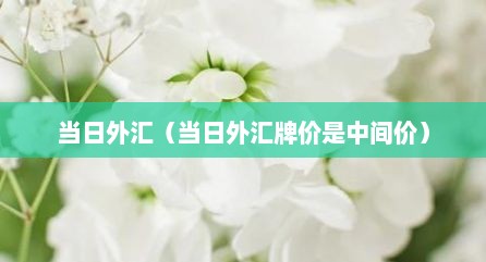 当日外汇（当日外汇牌价是中间价）