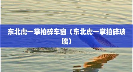 东北虎一掌拍碎车窗（东北虎一掌拍碎玻璃）