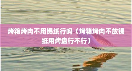 烤箱烤肉不用锡纸行吗（烤箱烤肉不放锡纸用烤盘行不行）