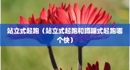站立式起跑（站立式起跑和蹲踞式起跑哪个快）