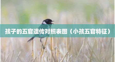 孩子的五官遗传对照表图（小孩五官特征）