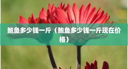 鲍鱼多少钱一斤（鲍鱼多少钱一斤现在价格）