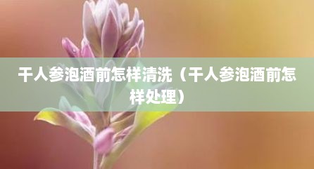 干人参泡酒前怎样清洗（干人参泡酒前怎样处理）