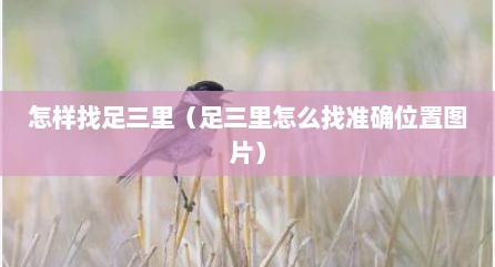 怎样找足三里（足三里怎么找准确位置图片）
