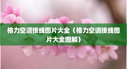 格力空调接线图片大全（格力空调接线图片大全图解）
