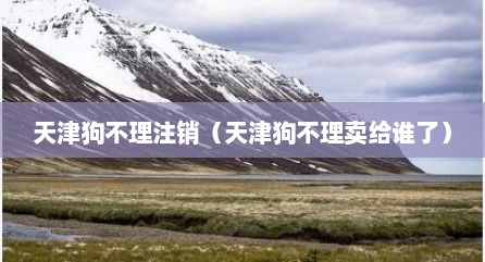 天津狗不理注销（天津狗不理卖给谁了）