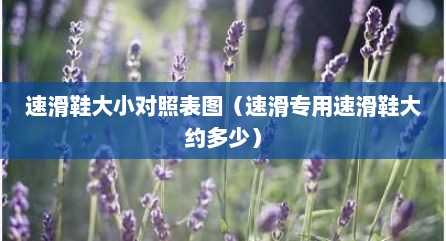速滑鞋大小对照表图（速滑专用速滑鞋大约多少）