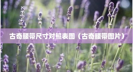 古奇腰带尺寸对照表图（古奇腰带图片）