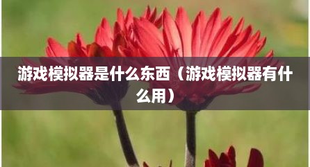 游戏模拟器是什么东西（游戏模拟器有什么用）