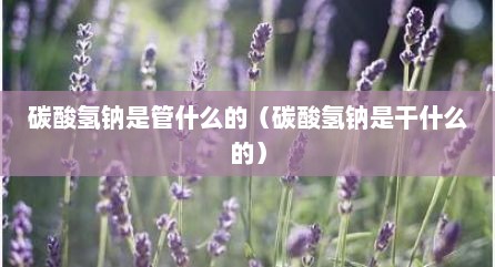 碳酸氢钠是管什么的（碳酸氢钠是干什么的）