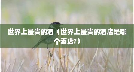 世界上最贵的酒（世界上最贵的酒店是哪个酒店?）