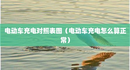 电动车充电对照表图（电动车充电怎么算正常）