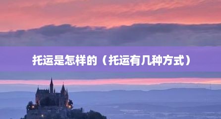 托运是怎样的（托运有几种方式）
